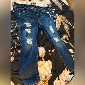 Torrid Jegging size 24